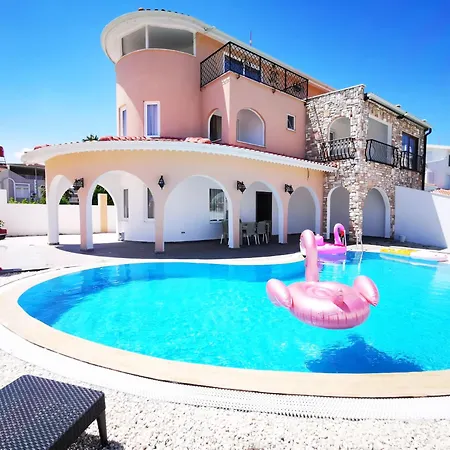 Red F33 Oezel Tasarimli Белек